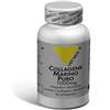 VIT ALL+ VITAL PL.Collagene Marino STV
