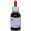 Glisy Italia Di Bronco Mario Eli Kid Zinco 50g