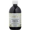 Dr Giorgini Integratore Alimentare, Betulla Bianca Gemme Gemmoderivato Concentrato Liquido Analcoolico - 100 ml