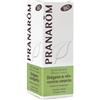 HERBALGEM ITALIA SRL PRANAROM ORIGANO COMPATTO OLIO ESSENZIALE BIO 10 ML