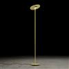 Holtkötter Nova proiettore a soffitto, LED, 9906-2-19, Nova [Lampade per Interni > Lampade a piantana]