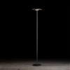 Holtkötter Nova proiettore a soffitto, LED, 9906-2-62, Nova [Lampade per Interni > Lampade a piantana]