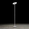 Holtkötter Nova proiettore a soffitto, LED, 9906-2-8, Nova [Lampade per Interni > Lampade a piantana]