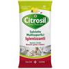 Citrosil Salviette Igienizzanti 40 Pezzi Con Azione Antibatterica Per Mani e Superfici Confezione