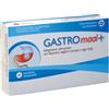 GASTROMAAL + 20TAV - - 925830097