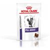 ROYAL CANIN GATTO DIET PILL ASSIST 45 GR