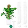 LTHERMELK Set di 2 tutori in schiuma per piante rampicanti, supporto in schiuma naturale con velcro e chiodi, 61 cm, per Monstera, Philodendron, Pothos, asta di cocco in plastica rinforzata
