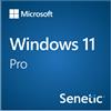 Microsoft DVD DSP OEI polacco 1pk per Windows 11 Pro 64 bit