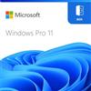 Microsoft Windows Pro 11 PL Box USB a 64 bit