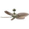 Cecotec - Ventilatori da Soffitto EnergySilence Aero 5200 Natural Palm - 35 W, Diametro 127 cm, 4 Pale Naturali, Timer 8 Ore, 6 Velocità, Telecomando, Estate/Inverno, Design Regolabile