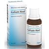 Guna HEEL GALIUM 30ML GTT