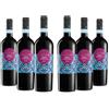 Fatascia' Fatascià Nero d'Avola Sicilia DOC, Vino Rosso dal Profumo di Frutta Rossa e dal Gusto Morbido e Avvolgente, Gradazione Alcolica 14% Vol, Confezione con 6 Bottiglie da 750 ml