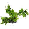 Amtra Plant Replica Hygrophilia - Decorativo per acquario, Pianta Artificiale per Acquario, Pianta Decorativa in plastica per Acquario Marino o D'acqua Dolce, 30 CM