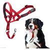 Company of Animals HALTI - Collare a cavezza Per impedire che il cane tiri il guinzaglio, regolabile, leggero, con fascia per il muso imbottita, collareanti-trazione per l'addestramento di cani grandi (Taglia 4, Rosso)