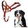 Company of Animals HALTI - Cavezza per impedire al cane di tirare al guinzaglio, regolabile, riflettente e leggera, con nasello imbottito, collare anti-tiro, per addestramento cani grandi (Taglia 4, arancione bruciato)