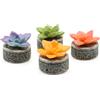 Amtra Deko Succulent - Decorazioni acquario acqua dolce e marina in resina, Per acquari e Sasche di pesci, Atossico, 7x6x5,5 cm