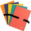 Oxford Elba Clip 'n' Go - Cartellina formato A4, formato A4, 21 x 29,7 cm, colori assortiti