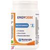 LABORATOIRE NUTERGIA ERGYCEBE 90 CAPSULE