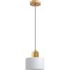 LFsem Lampadario Sospensione Moderno Vetro Colorato | Regolazione Altezza 200cm | E27 Lampada a Soffitto per Cucina, Sala Pranzo, Camera | Design con Dettagli Oro (Bianco Lucido)