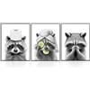 Dazzlewall Set di 3 Poster Procioni Divertenti Bianco e Nero per Bagno Lavanderia 30×40 cm Senza Cornice