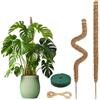Ianulus 2 Pezzi Palo di Muschio, Bastone per Piante, Palo in Fibra di Cocco per Piante Rampicanti, Con Accessori, Muschio Palo Totem per Piante da Rampicante Estensione (80cm)