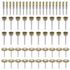 LIPIODOL 60 pezzi Spazzola Metallica In Filo Di Ottone Mini Spazzola kit di accessori per utensili rotanti,3mm