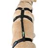 Ortocanis - Cinghia di Fissaggio per Fissare Il Tutore Ginocchio al'Imbracatura del Cane, Solo Cinghia, Taglia XS