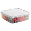SIGNORA WARE Contenitore in plastica con coperchio, contenitore per cupcake da 3 l, ermetico, senza BPA, con coperchio, per la preparazione di pasti, avanzi, cupcake