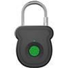 ARMYJY Lucchetto intelligente con impronte digitali, biometrico, con capacità di 20 utenti, per palestra, armadietti, zaini, valigie, armadietti e porte, (nero)