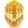 Yoga Ananas Cassa da 6 bottiglie x 1Litro - Succhi di Frutta