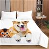 Highdi 3D Gatti e Cani Piumino Estivo Matrimoniale, Microfibra Extra Morbido Trapunta Matrimoniale, Bedding Piumino, Piumone Leggero (230x260cm,Bianco)
