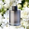Ceeniu Ricarica Profumo Dedicata CF3-135 ml - Utilizzabile per 4-8 mesi - Realizzata con Estratti Naturali di Piante - Profumo Importato dalla Francia-Muschio Bianco
