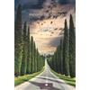 Casa Editrice il Filo di Arianna Ricky