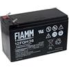 FIAMM Batteria ricaricabile al piombo FGH20902 (resistente a corrente alta), 12V, Lead-Acid