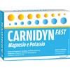 ALFASIGMA SpA Carnifast Plus 20 Bustine