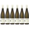 Hans Baer - Riesling - Vino bianco - Rheinhessen, Germania (6 x 0,75 l)