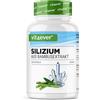 Vit4ever Silicio - 365 Capsule Con 500 Mg Di Silicio Organico Al Giorno - Premium: Estratto Naturale Di Bambù - Altamente Dosato - Vegan