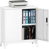 HOMCOM Armadietto per Documenti in Metallo con Serratura Chiave, Armadio da Ufficio con 2 Ante e 2 Ripiani, Mobiletto Portadocumenti, per Casa Studio Ufficio Garage, 80x35x91 cm, Bianco