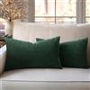 Slozzi Fodere Cuscini in Velluto a Coste Decorative Copricuscini Moderne Fodere Cuscini Morbido Comodo Resistente Federe Cuscino per Camera da Divano Letto 2 Pezzi Verde Scuro 30x50 CM