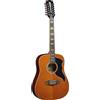 Eko Guitars Chitarra Acustica - Ranger Xii Vr Eq Natural Top Stained