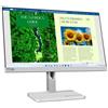 MediaMondo Lenovo L24m-40 Monitor PC 605 cm (23.8") 1920 x 1080 Pixel Full HD LED Grigio