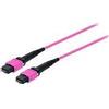 EQUIP Cavo patch in fibra ottica MTP MTP 300 m Multimodale OM4 Tipo A