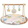 Ingenuity Wonder & Wood - Palestrina con arco in legno e 3 giochi removibili, tappetino lavabile in lavatrice, 0-36 mesi, unisex