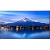 Sharp/NEC MultiSync P556 Monitor IPS 4K 55" 700 cd/m² per Segnaletica Professionale