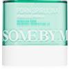 Some By Mi PDRN Spirulina Poreless Primer 10 g