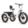 Triciclo Bicicletta Elettrica Z-TECH ZT-80-B "FAT TRIKE " 3 Ruote 250W 13 Ah 48V Batteria Litio -Bianco
