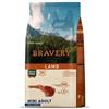 BRAVERY ADULT MINI Agnello 2 KG Prezzo x 2 unità