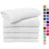 SG Accessories Towels Asciugamano Ospite Rhine 30x50