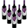Nero D'Avola di Sicilia DOC Cinquesegni Art Vinery Boutique 6 bottiglie 75 cl.