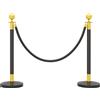 HOMCOM Colonnine Segnapercorso in Acciaio Inox con Corda Vellutata Nera di 1.5 m e Base Riempibile, Ø32x96 cm